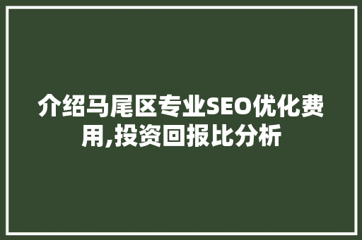 介绍马尾区专业SEO优化费用,投资回报比分析