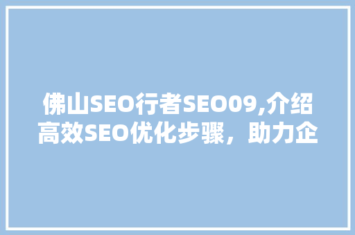佛山SEO行者SEO09,介绍高效SEO优化步骤，助力企业互联网营销腾飞