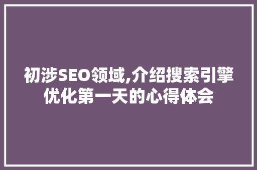 初涉SEO领域,介绍搜索引擎优化第一天的心得体会