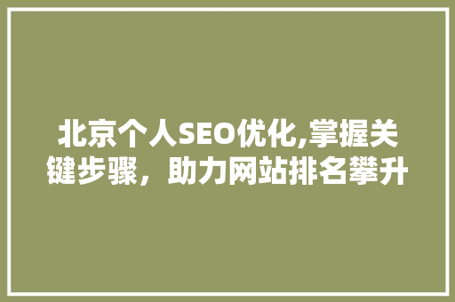 北京个人SEO优化,掌握关键步骤，助力网站排名攀升