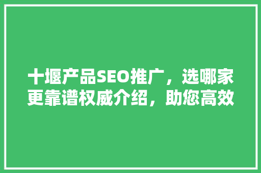 十堰产品SEO推广，选哪家更靠谱权威介绍，助您高效提升品牌知名度！