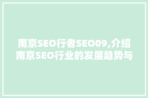南京SEO行者SEO09,介绍南京SEO行业的发展趋势与优化步骤
