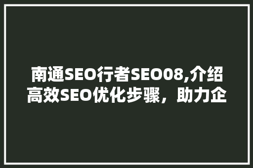 南通SEO行者SEO08,介绍高效SEO优化步骤，助力企业网站脱颖而出