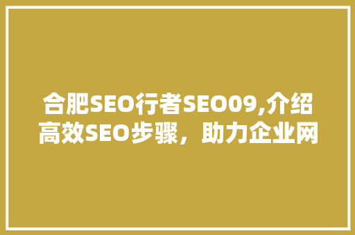 合肥SEO行者SEO09,介绍高效SEO步骤，助力企业网络营销