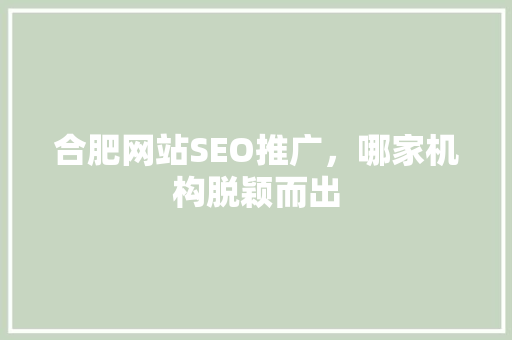 合肥网站SEO推广，哪家机构脱颖而出