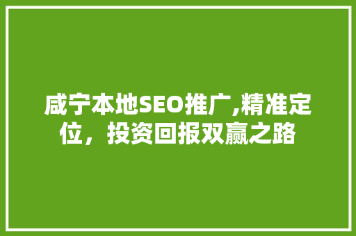 咸宁本地SEO推广,精准定位，投资回报双赢之路