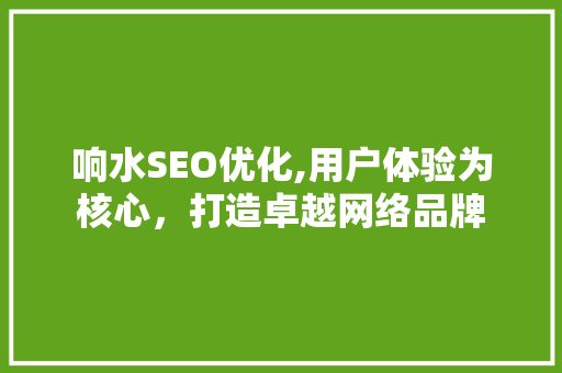 响水SEO优化,用户体验为核心，打造卓越网络品牌