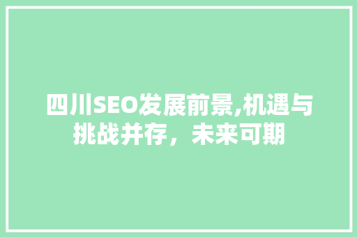 四川SEO发展前景,机遇与挑战并存，未来可期