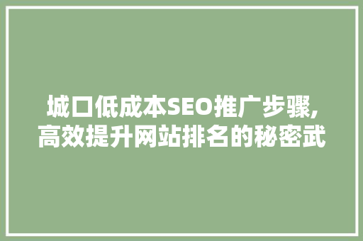 城口低成本SEO推广步骤,高效提升网站排名的秘密武器