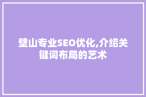 壁山专业SEO优化,介绍关键词布局的艺术