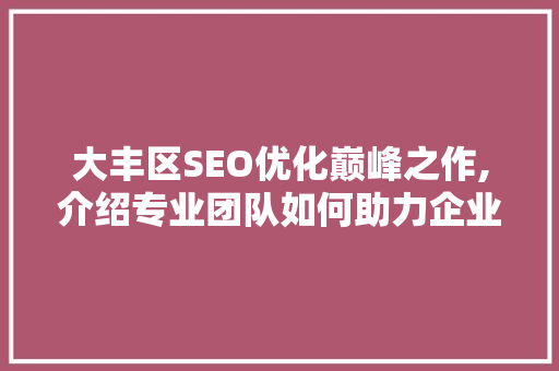 大丰区SEO优化巅峰之作,介绍专业团队如何助力企业腾飞