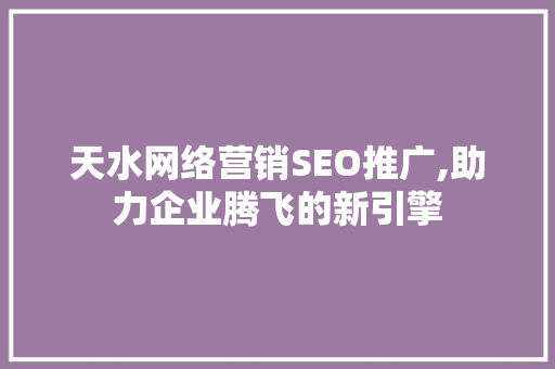 天水网络营销SEO推广,助力企业腾飞的新引擎