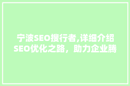 宁波SEO搜行者,详细介绍SEO优化之路，助力企业腾飞