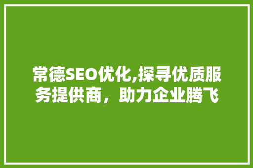 常德SEO优化,探寻优质服务提供商，助力企业腾飞