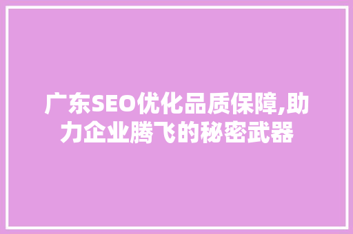广东SEO优化品质保障,助力企业腾飞的秘密武器