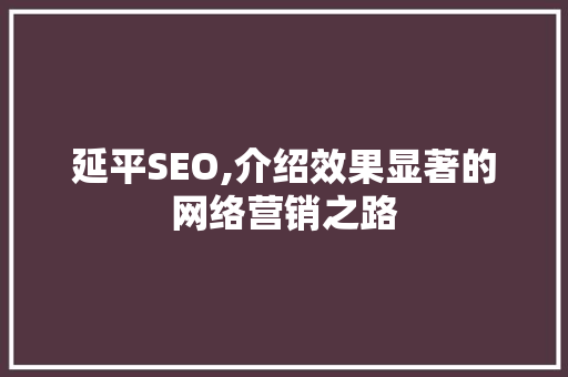 延平SEO,介绍效果显著的网络营销之路