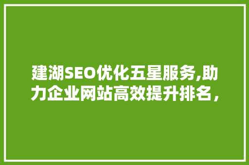 建湖SEO优化五星服务,助力企业网站高效提升排名，抢占互联网市场先机