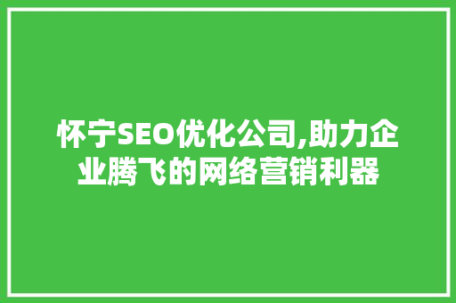 怀宁SEO优化公司,助力企业腾飞的网络营销利器