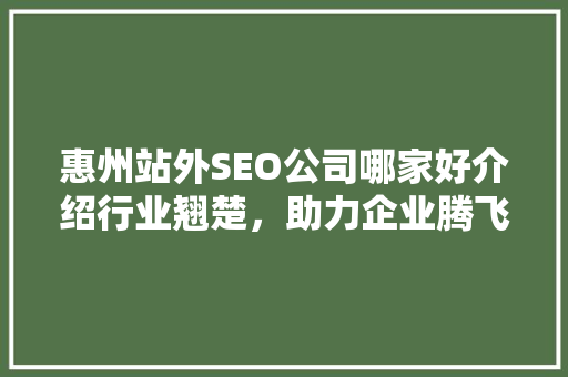 惠州站外SEO公司哪家好介绍行业翘楚，助力企业腾飞