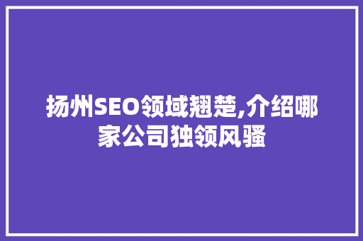 扬州SEO领域翘楚,介绍哪家公司独领风骚