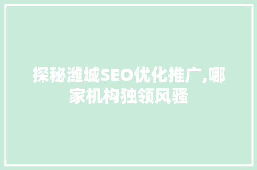 探秘潍城SEO优化推广,哪家机构独领风骚