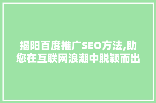 揭阳百度推广SEO方法,助您在互联网浪潮中脱颖而出