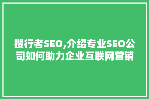 搜行者SEO,介绍专业SEO公司如何助力企业互联网营销