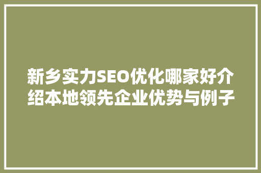 新乡实力SEO优化哪家好介绍本地领先企业优势与例子