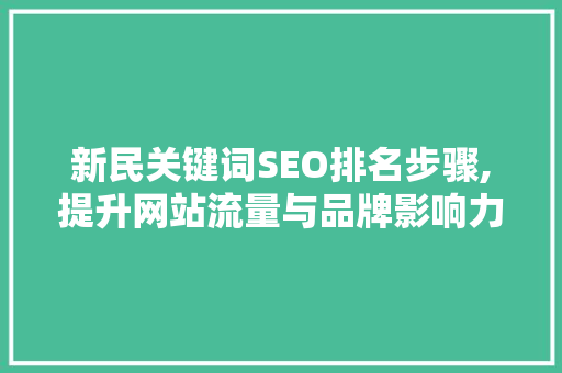 新民关键词SEO排名步骤,提升网站流量与品牌影响力的方法