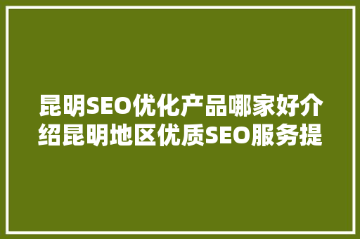 昆明SEO优化产品哪家好介绍昆明地区优质SEO服务提供商