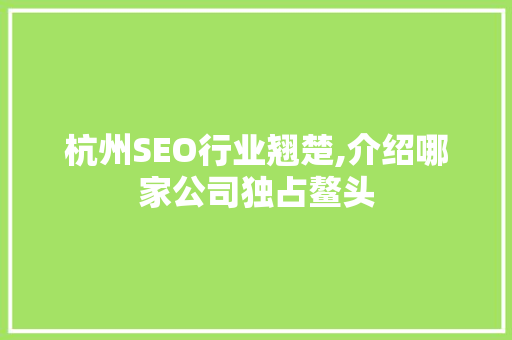 杭州SEO行业翘楚,介绍哪家公司独占鳌头