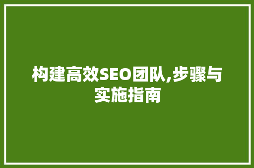构建高效SEO团队,步骤与实施指南