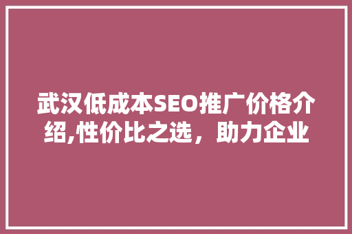 武汉低成本SEO推广价格介绍,性价比之选，助力企业网络营销