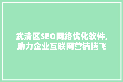 武清区SEO网络优化软件,助力企业互联网营销腾飞