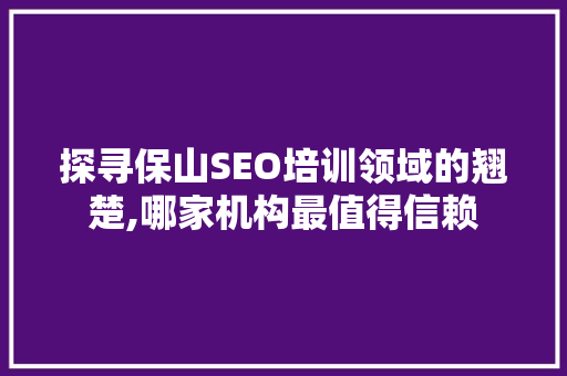 探寻保山SEO培训领域的翘楚,哪家机构最值得信赖