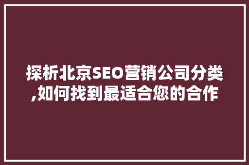探析北京SEO营销公司分类,如何找到最适合您的合作伙伴
