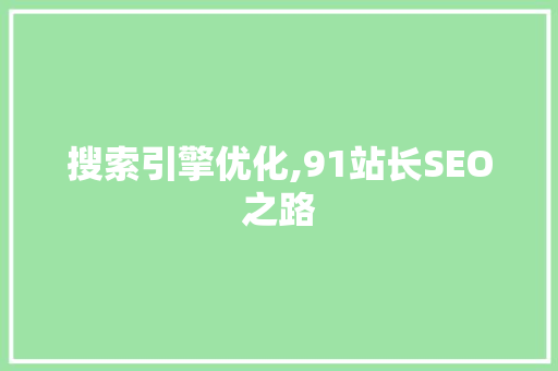 搜索引擎优化,91站长SEO之路