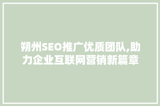 朔州SEO推广优质团队,助力企业互联网营销新篇章