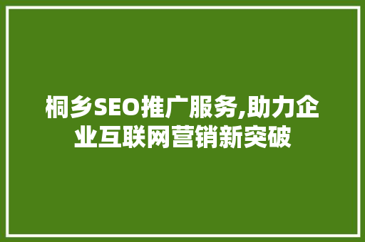 桐乡SEO推广服务,助力企业互联网营销新突破