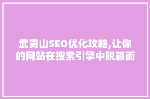 武夷山SEO优化攻略,让你的网站在搜索引擎中脱颖而出