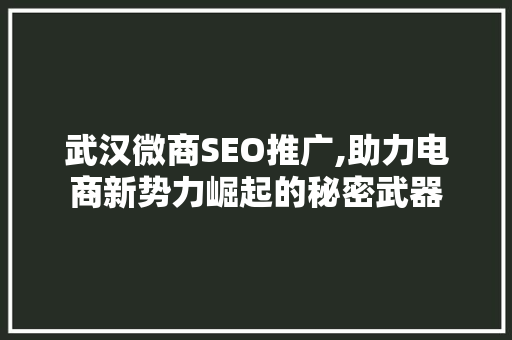 武汉微商SEO推广,助力电商新势力崛起的秘密武器