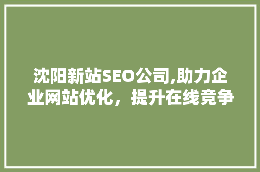 沈阳新站SEO公司,助力企业网站优化，提升在线竞争力