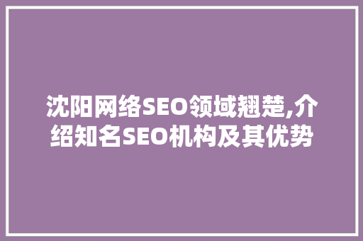 沈阳网络SEO领域翘楚,介绍知名SEO机构及其优势