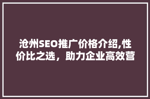 沧州SEO推广价格介绍,性价比之选，助力企业高效营销