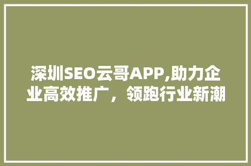 深圳SEO云哥APP,助力企业高效推广，领跑行业新潮流