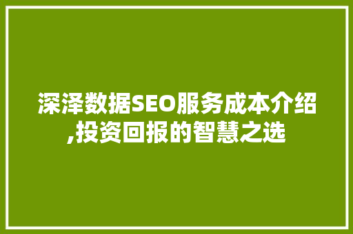 深泽数据SEO服务成本介绍,投资回报的智慧之选