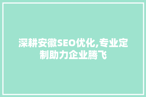 深耕安徽SEO优化,专业定制助力企业腾飞