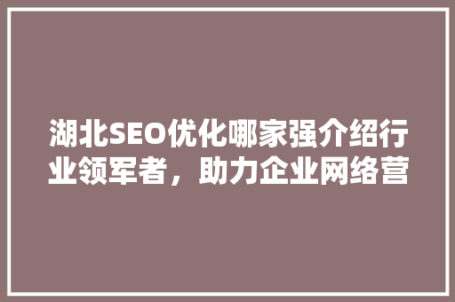 湖北SEO优化哪家强介绍行业领军者，助力企业网络营销腾飞