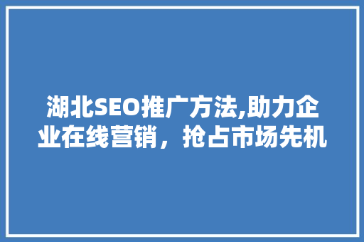 湖北SEO推广方法,助力企业在线营销，抢占市场先机