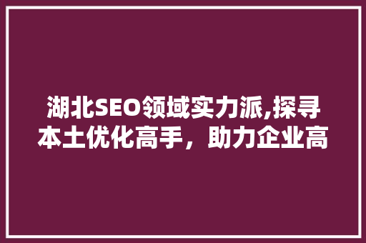 湖北SEO领域实力派,探寻本土优化高手，助力企业高效提升网络竞争力